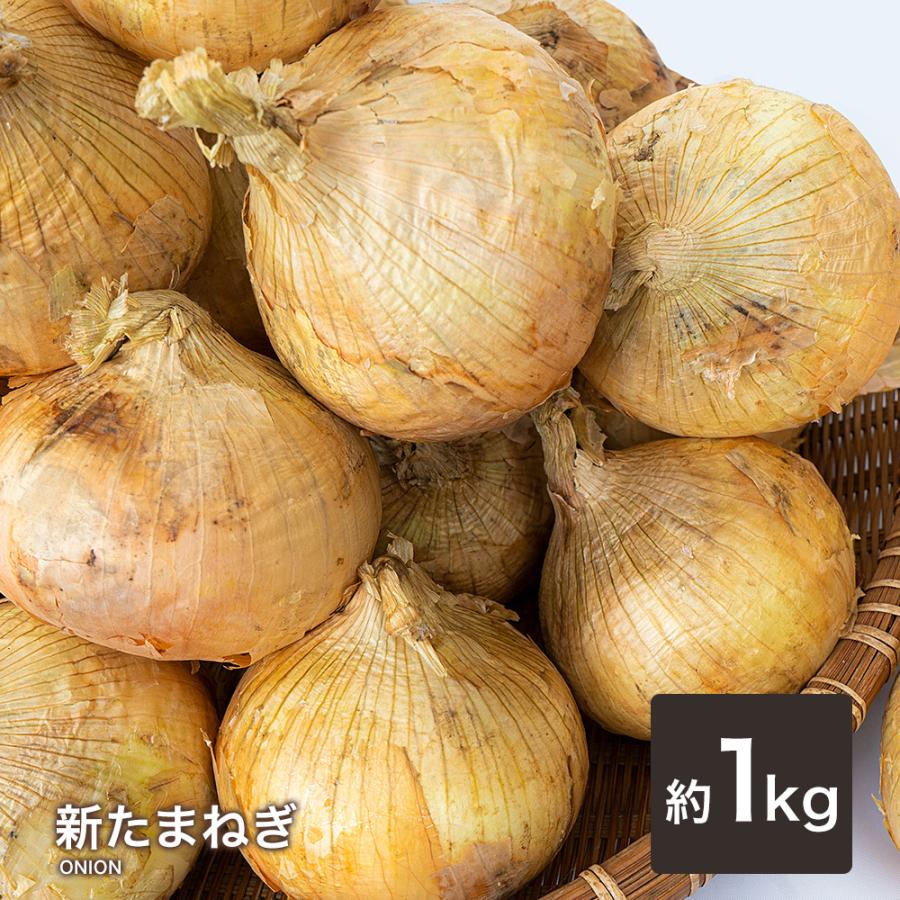 新たまねぎ ご家庭用 大量 野菜 国産 新玉ねぎ 1ｋｇ Stamanegi1 Kakabit 通販 Yahoo ショッピング