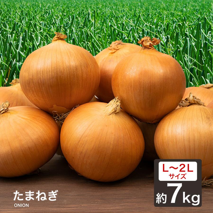 たまねぎ 国産 Ｌ〜２Ｌ 玉葱 １ｋｇ 〜 １０ｋｇ ご家庭用 大量 野菜 玉ねぎ｜kakabit｜08