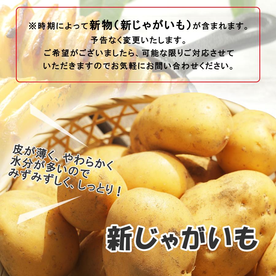 じゃがいも ジャガイモ 送料無料 1kg メークイン 野菜 じゃが
