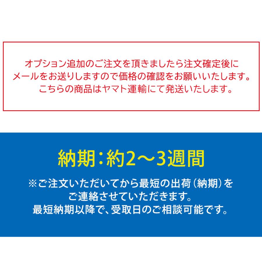 うんてい（取り付け式）幅500mm　同色5本セット うんてい（取り付け式）同色5本セット 運動 子供 キッズ 室内