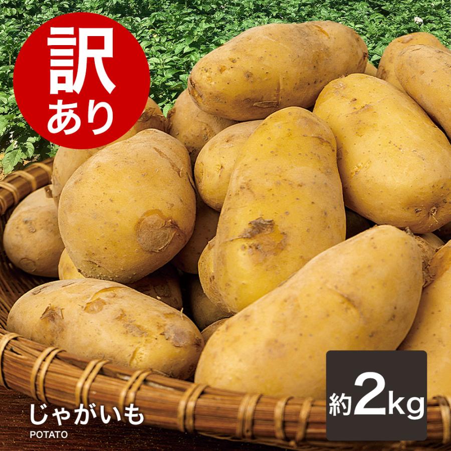 訳あり じゃがいも じゃが ジャガイモ 送料無料 2kg メークイン 野菜