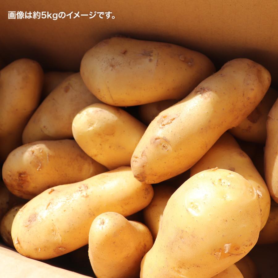 訳あり じゃがいも じゃが ジャガイモ 送料無料 2kg メークイン 野菜