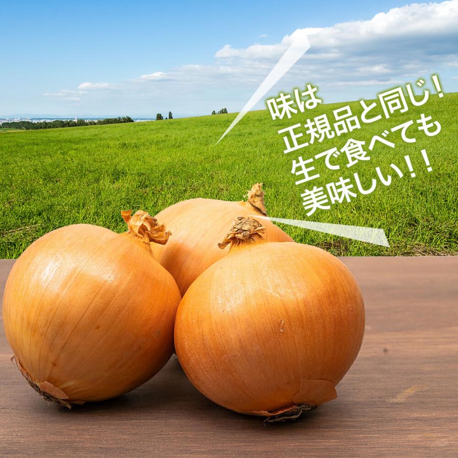 訳あり たまねぎ 5kg L〜2L 玉葱 ご家庭用 大量 野菜 国産 玉ねぎ waketamanegi5 kakabit 通販