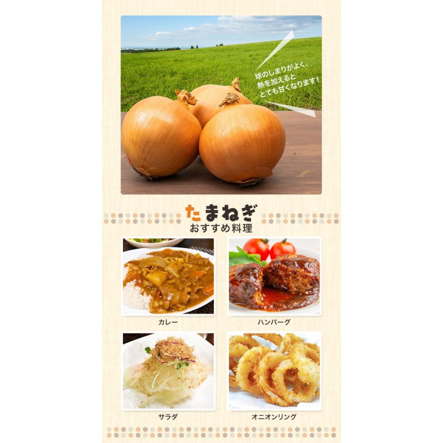 野菜3種セット(新たまねぎ・にんじん・新じゃがいも)各約5kg 野菜3種セット(新たまねぎ・にんじん・新じゃがいも)各約5kg