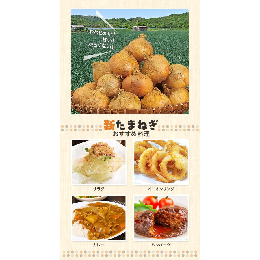 野菜3種セット（新たまねぎ・にんじん・新じゃがいも）各約2kg 合計6kg