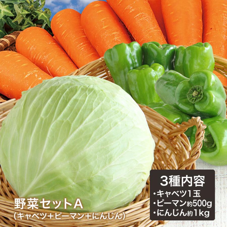 野菜セットA(キャベツ1玉・ピーマン約500g・にんじん約1kg)3種 野菜セットA(キャベツ1玉・ピーマン約500g・にんじん約1kg)3種