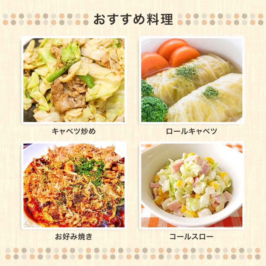 野菜セットA(キャベツ1玉・ピーマン約500g・にんじん約1kg)3種 野菜セットA(キャベツ1玉・ピーマン約500g・にんじん約1kg)3種