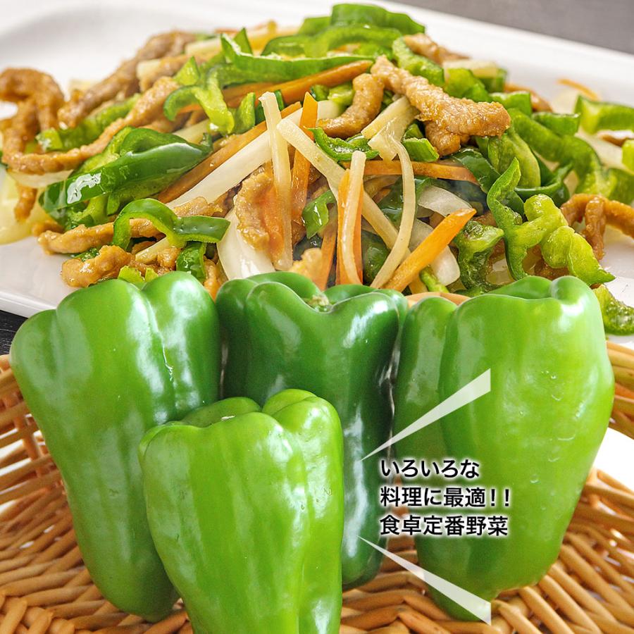 野菜セットA(キャベツ1玉・ピーマン約500g・にんじん約1kg)3種 野菜セットA(キャベツ1玉・ピーマン約500g・にんじん約1kg)3種
