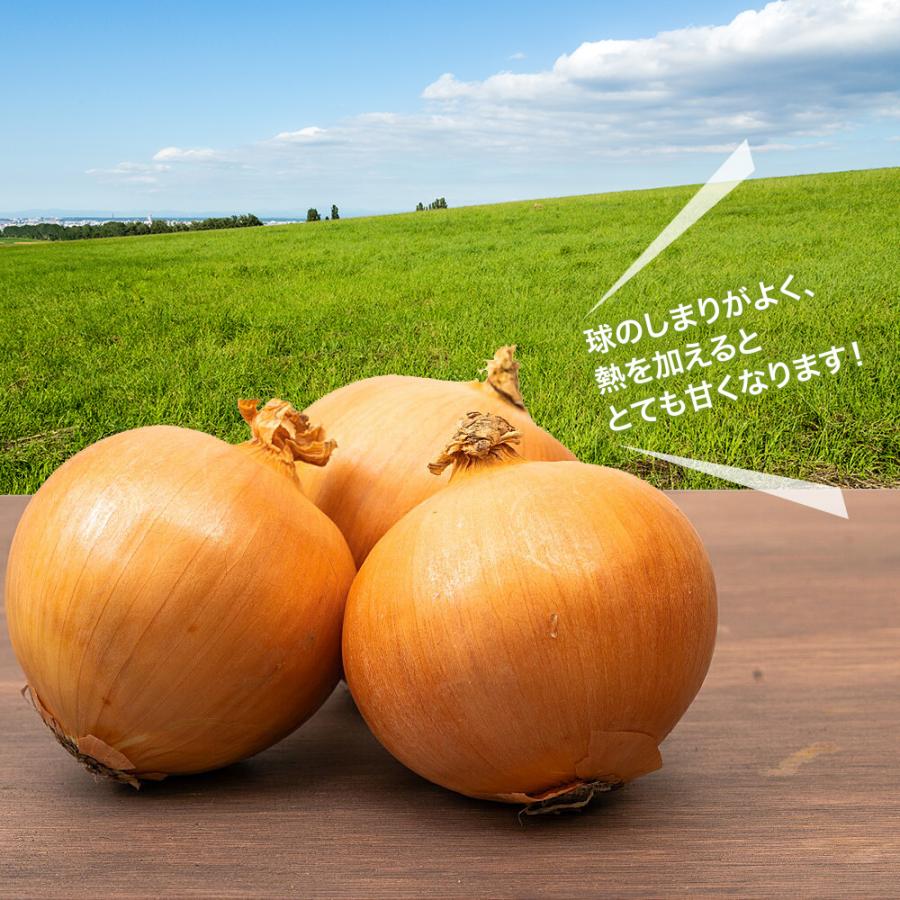 野菜セットB（キャベツ1玉・たまねぎ約1kg・新じゃがいも約1kg・にんじん約1kg）4種セット きゃべつ 玉ねぎ ポテト 人参 定番 万能 おうちごはん おうち時間｜kakabit｜04