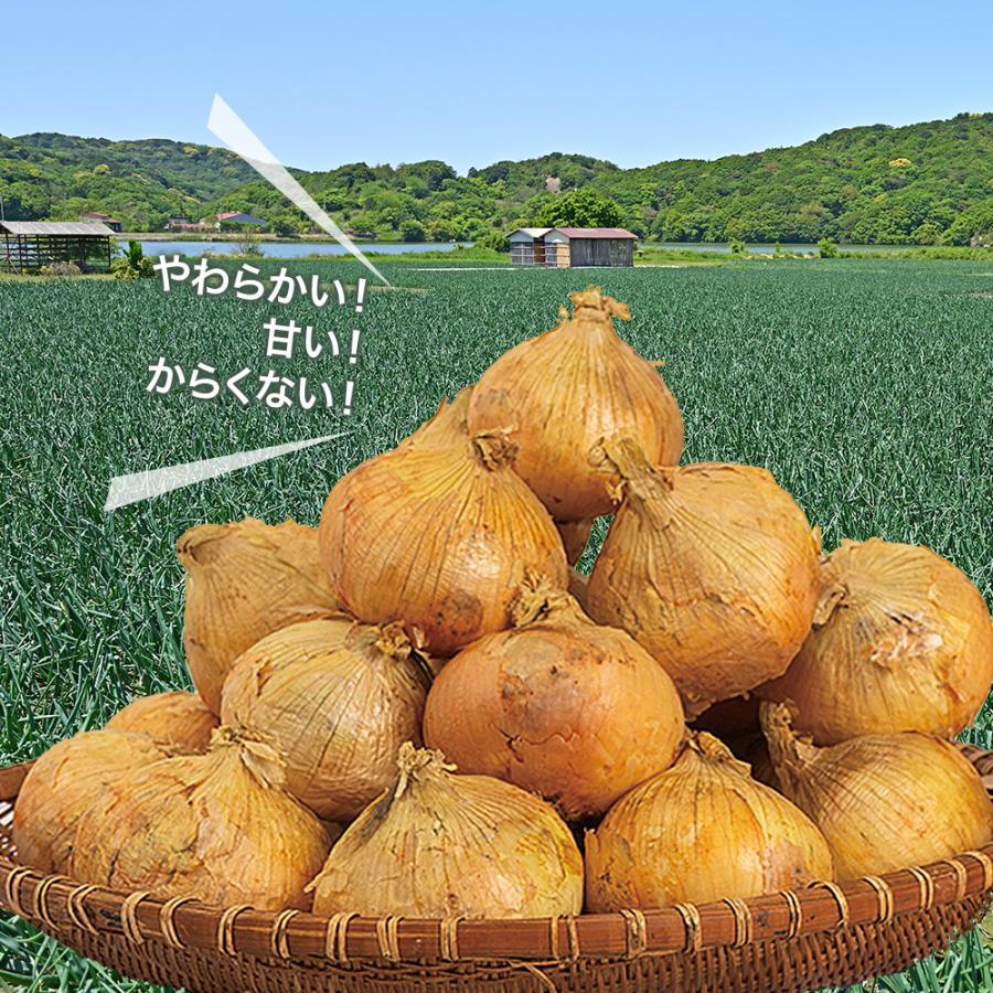 野菜セット 4種 国産野菜セット 野菜詰め合せ B （キャベツ1玉・新