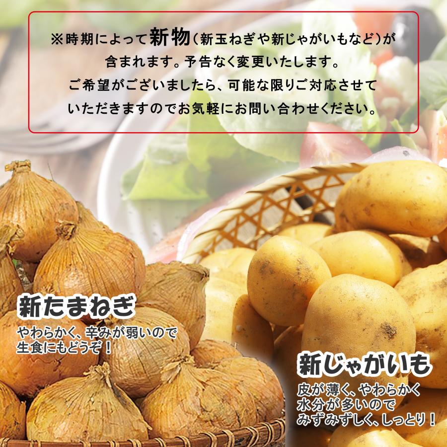 4種野菜セット 国産野菜セット 野菜詰め合せ B （キャベツ3玉・新たまねぎ・新じゃがいも・にんじん各約3kg） 野菜 野菜セット 詰め合わせ きゃべつ 新玉ねぎの画像