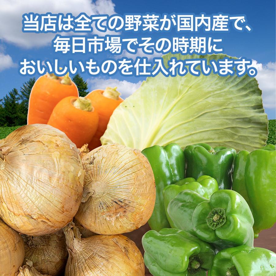 4種野菜セット 国産野菜セット 野菜詰め合せ C （キャベツ4玉・新たまねぎ・にんじん各約4kg・ピーマン約2kg） 野菜 野菜セット 詰め合わせ きゃべつ 新玉ねぎの画像
