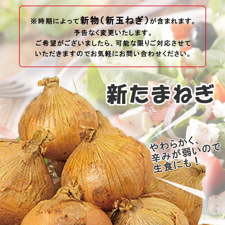 4種野菜セット 国産野菜セット 野菜詰め合せ C （キャベツ4玉・新たまねぎ・にんじん各約4kg・ピーマン約2kg） 野菜 野菜セット 詰め合わせ きゃべつ 新玉ねぎの画像