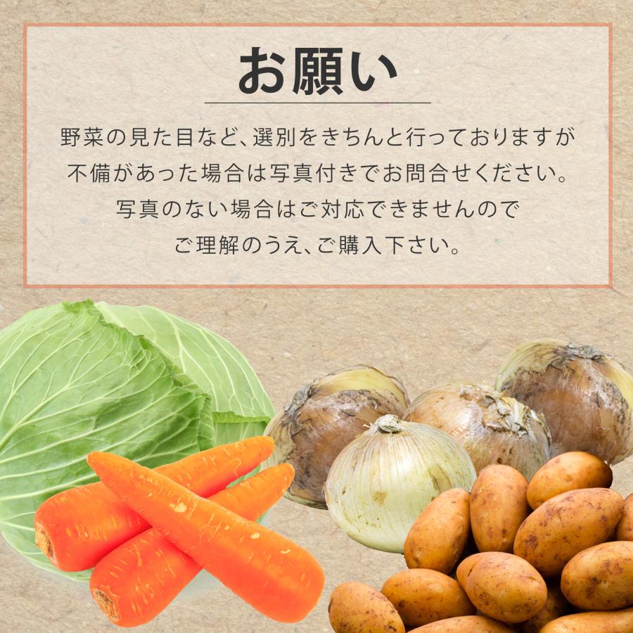 野菜セットC キャベツ5玉・たまねぎ・にんじん約5kg・ピーマン約2.5kg 野菜セットC（キャベツ5玉・たまねぎ約5kg・ピーマン約2.5kg