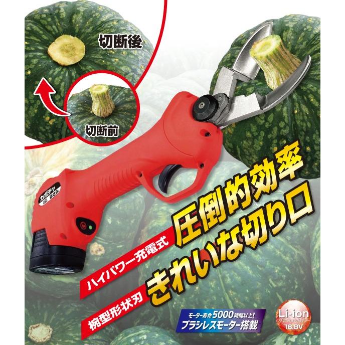 カボチャの収穫 充電式はさみ 握るだけでヘタを切断 かぼちゃ専用