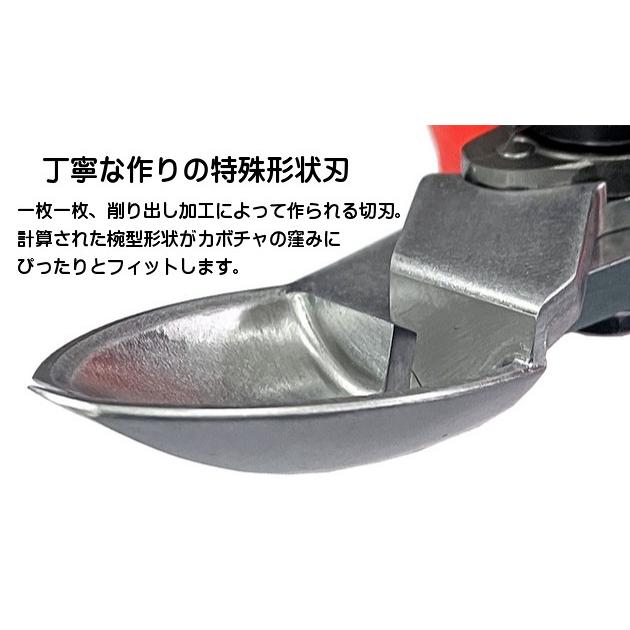 カボチャの収穫 充電式はさみ 握るだけでヘタを切断 かぼちゃ専用