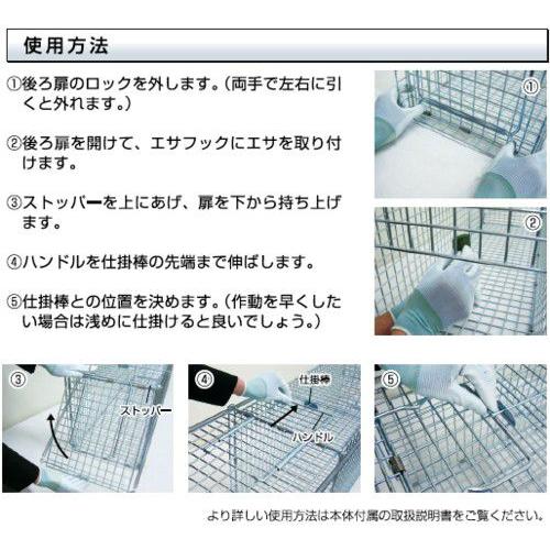 捕獲器ジャンボIT-2（RB1） 前後の扉が開きます！オリ ワナ 罠