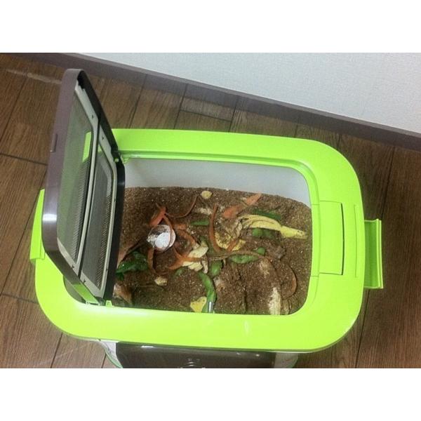 自然にカエルS 基本セット[SKS-101型] 電気をいっさい使わない生ごみ