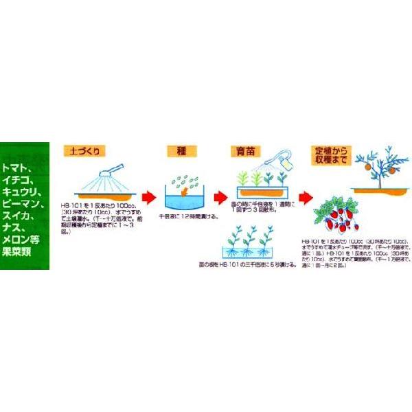 天然植物活力液　HB-101　5L｜kakashiya｜02