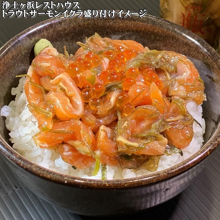 瓶ドン 宮古トラウトサーモン 6種類 セット 海鮮丼 川秀 古須賀商店 浄土ヶ浜パークホテル 浄土ヶ浜レストハウス お取り寄せ 瓶丼 瓶どん｜kakeashinokai｜07