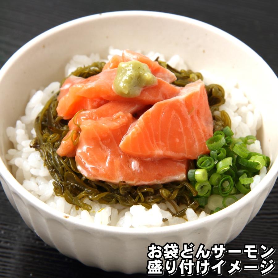 海鮮丼 木村のお袋どん 8袋セット 90g × 8袋 ( ほたていかサーモン