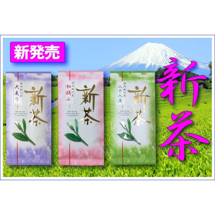 大走り 深蒸し茶 深むし茶100g入り 日本茶 緑茶 お茶 掛川茶 送料無料