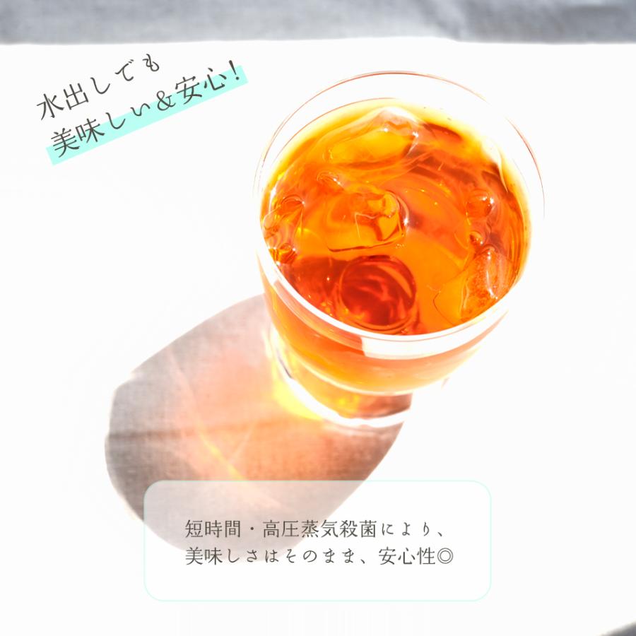 ブラックルイボスティー 黒豆と発酵ルイボス ブレンドティー 2.5g×50包