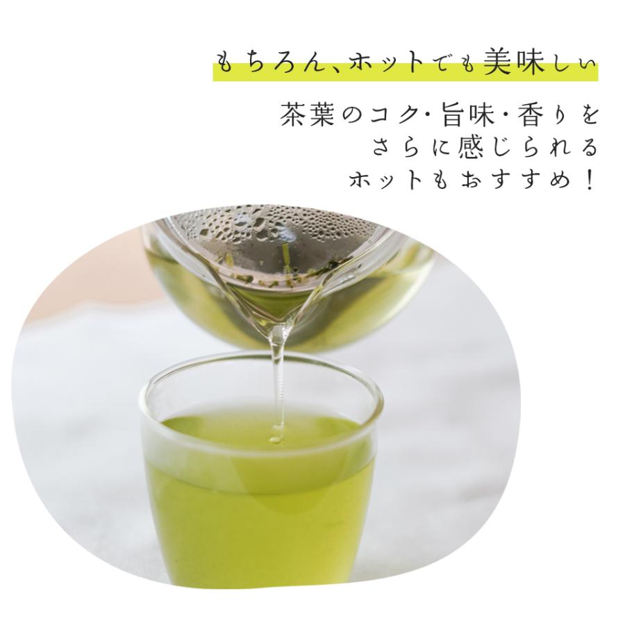 たっぷり煎茶 ティーバッグ 5g×25個×3袋 計375g 静岡抹茶入り 水出し煎茶 1リットル用 ティーパック 水出し緑茶 深蒸し茶｜kakegawacha｜13