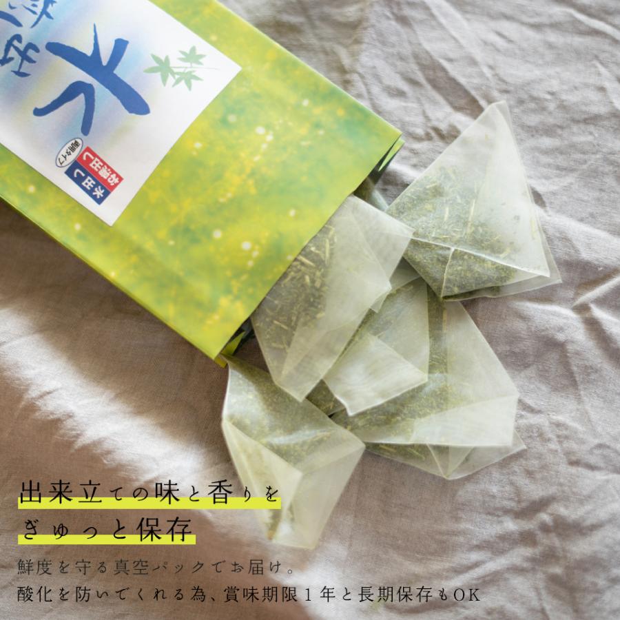 水出し煎茶 静岡抹茶入り ティーパック 1リットル用 ティーバッグ 5g
