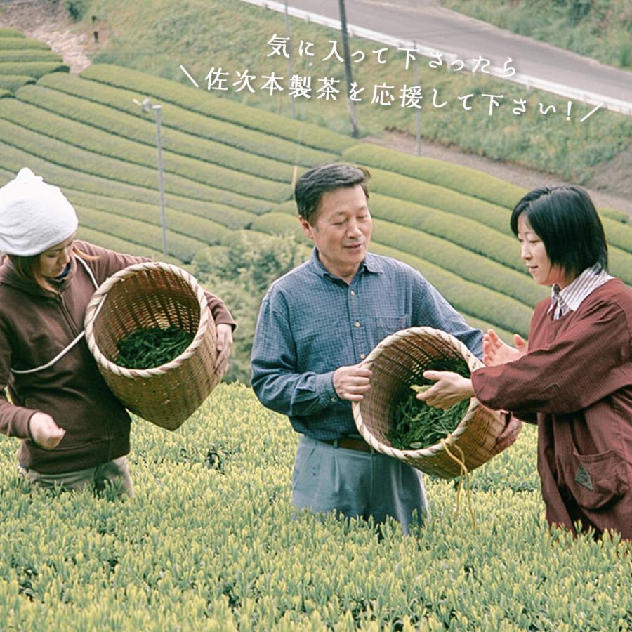 水出し煎茶 静岡抹茶入り ティーパック 1リットル用 ティーバッグ 5g