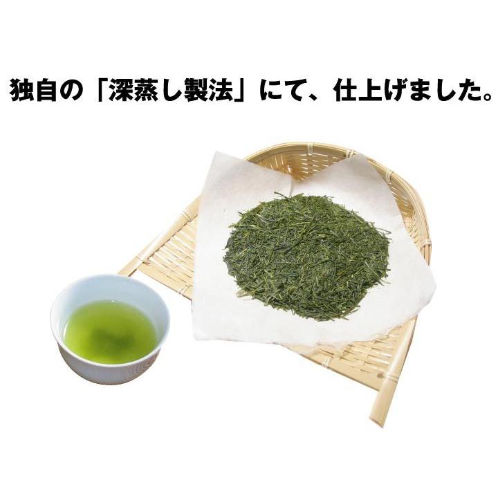 新茶特急便セット 新茶 大走り100g 新芽初摘み100g 掛川茶 お茶 深蒸し