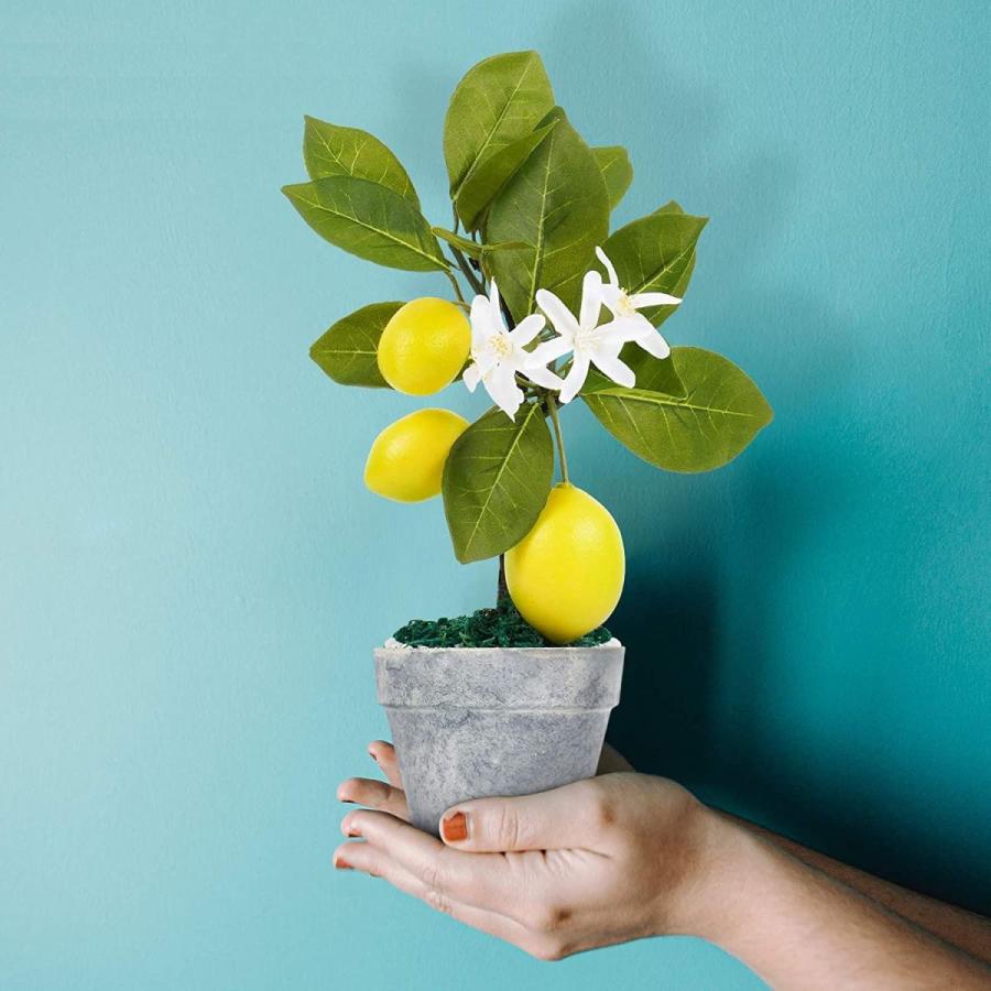 Lighsele 人工観葉植物 フェイクグリーン 造花 インテリア レモン 鉢植え 飾り 水やり不要 世話いらず かわいい 室内 ギフト プ かけはしjapan 通販 Yahoo ショッピング