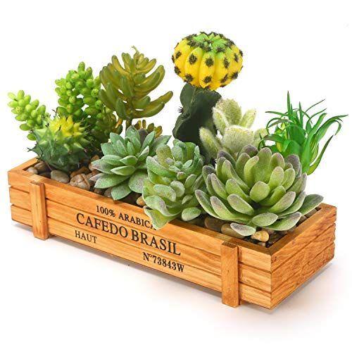 枯れない 水やり不要 おしゃれ盆栽 ウッドボックスセット 人工多肉植物 サボテン9種類寄せ植え フェイクグリーン Energypower 知育玩具 超ポイントバック祭 Themtransit Com