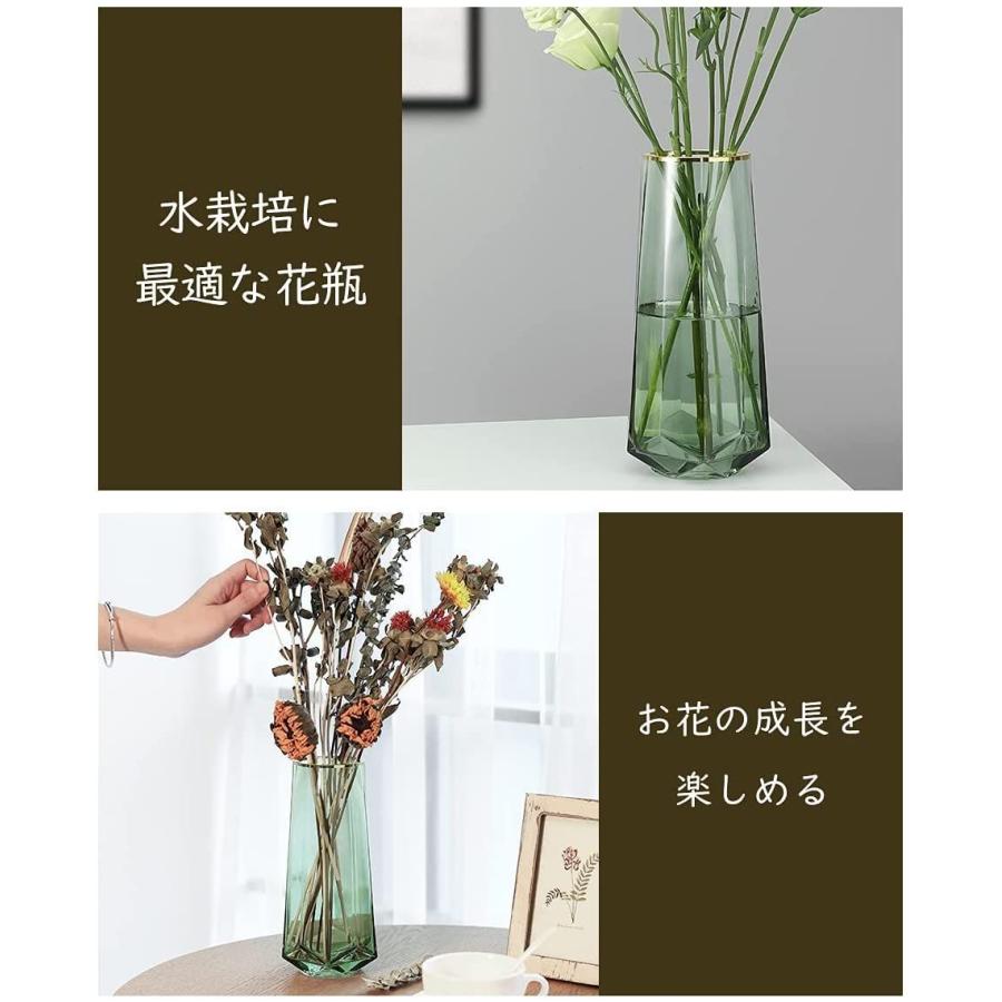 花瓶 Lewondr 花びん 高さ22cm がびん ガラス製 花活け フラワーベース ガラス容器 水栽培 テラリウム容器 生け花 ヒヤシンス かけはしjapan 通販 Yahoo ショッピング