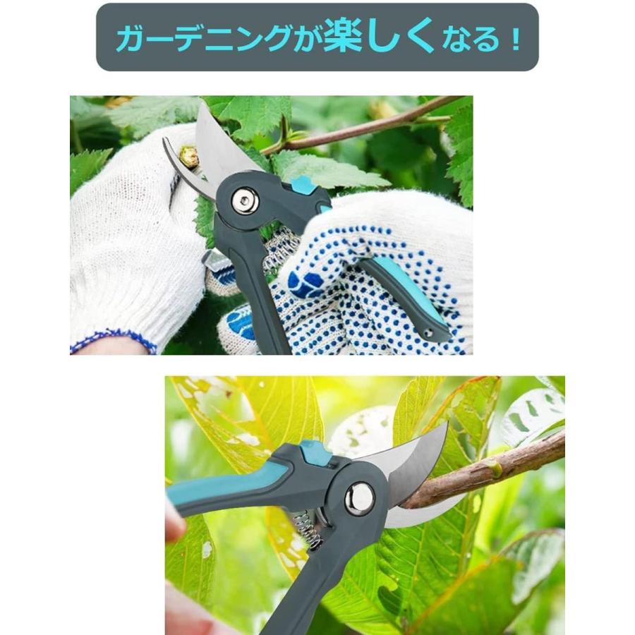 Anesty 剪定ばさみ 園芸用はさみ 切れ味良い フィットした持ち手 ロック機能 安全安心 家庭菜園の収穫 観葉植物の剪定 庭園作業 切断 かけはしjapan 通販 Yahoo ショッピング