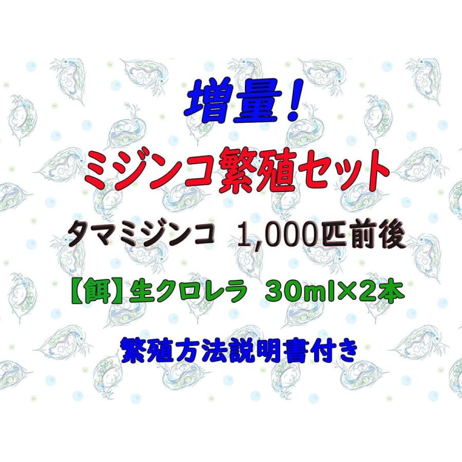 クール便ミジンコ繁殖セットタマミジンコ 約3 000匹 1g スーパー生クロレラ 60ml 繁殖方法説明書付き メダカの友 008 かけはしjapan 通販 Yahoo ショッピング