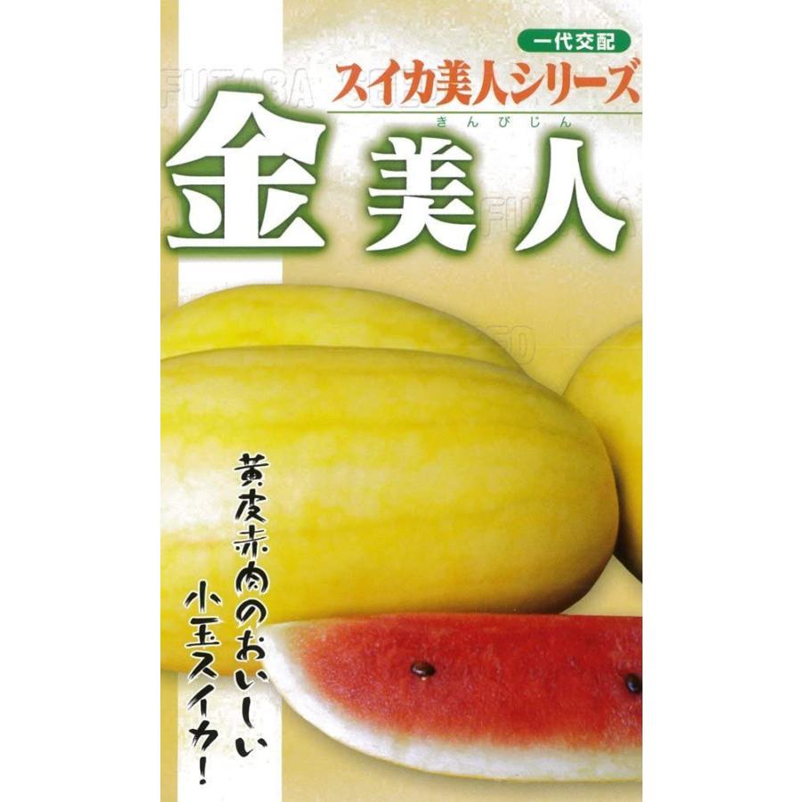 フタバ種苗 一代交配 西瓜 金美人 (スイカ) 種・小袋詰(10粒)|kakehashijapan|02