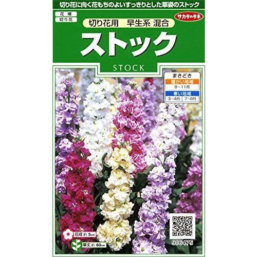 サカタのタネ 実咲花6475 ストック 切り花用早生系混合 正規店