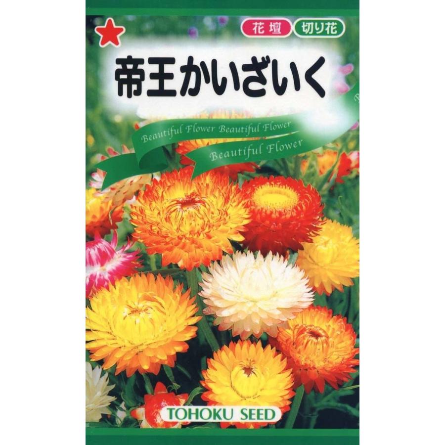 330円 セール商品 ビアンクール スティックパイ Sp 10