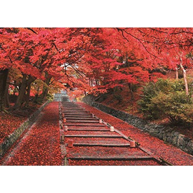 満点の 500ピース ジグソーパズル (38x53cm) 紅葉の毘沙門堂参道-京都 その他おもちゃ