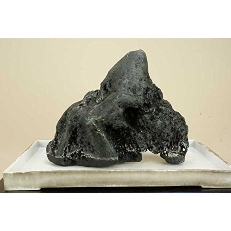 いよじ園 水石石手川石 底部一部自然処理済 間口 28cm 奥行 14cm 盆栽 苔玉 奥行 14cm 高 24cm 小道具 高 24cm 小道具 ならショッピング ランキングや口コミも豊富なネット通販 更にお得なpaypay残高も スマホアプリも