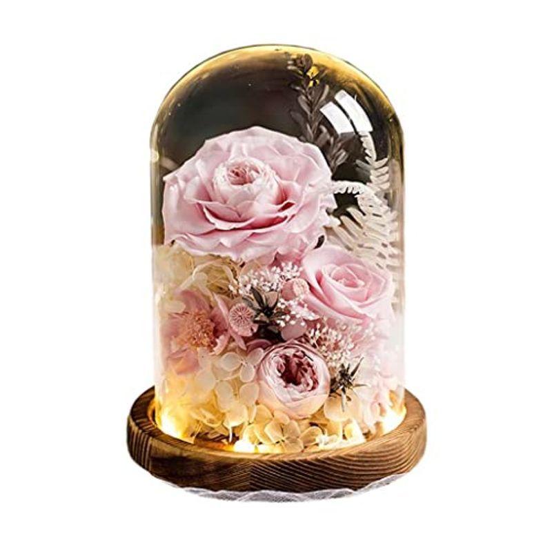 純正卸し売り プリザーブドフラワー プレゼント クリスマス ガラスドーム 薔薇 ドライフラワー バラー 枯れない花 フラワーギフト ギフトボックス 手提げ 超安い販売中 Ssl Daikyogo Or Jp