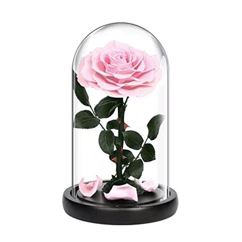 純正入荷 プリザーブドフラワー ガラスポット ボックス入り プレゼント 1輪 バラ 枯れない花 薔薇 ドライフラワー フラワーギフト ラッピング済み 安い超高品質 Ssl Daikyogo Or Jp