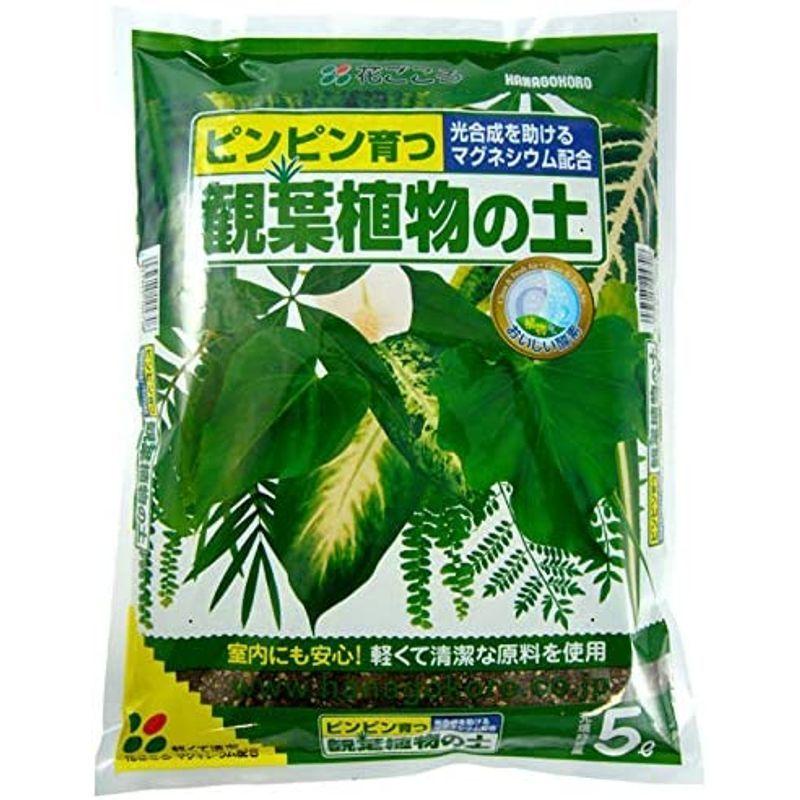 史上最も激安 花ごころ 特選有機花ごころ培養土 5l Amp 観葉植物の土 5lセット買い Discoversvg Com