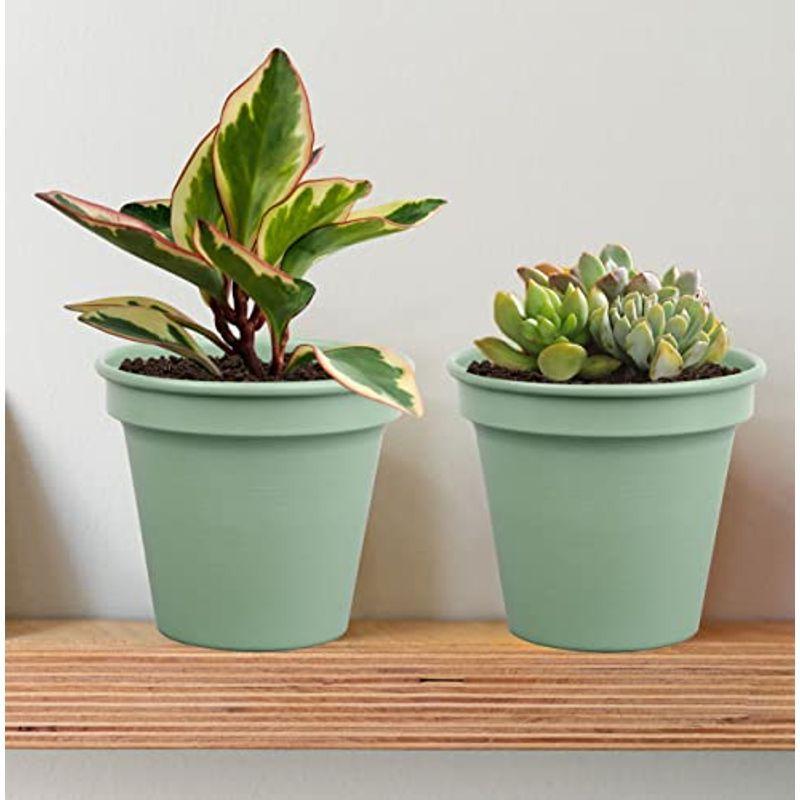 Hofferruffer 鉢 おしゃれ プランター 室内 排水穴つき サボテン鉢 花栽培 北欧風 多肉植物適用 鉢 2個セット 4号サイズ かけはしjapan 通販 Yahoo ショッピング