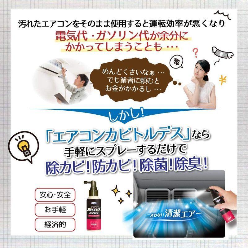 期間限定送料無料 エアコン エアコンカビトルデス 車用 80ml カビ除去 防カビ効果 約1ヶ月持続 カビ臭除去 除菌