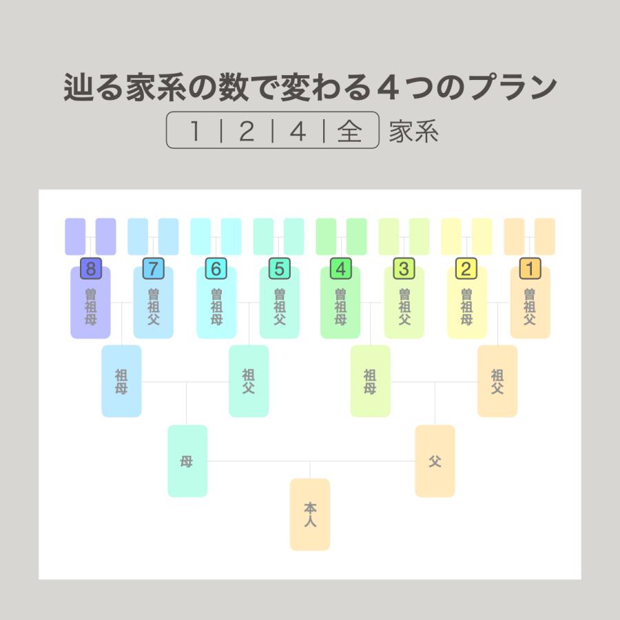 家系図作成サービス 1家系調査プラン 家系図+1冊追加セット Kakeizu+