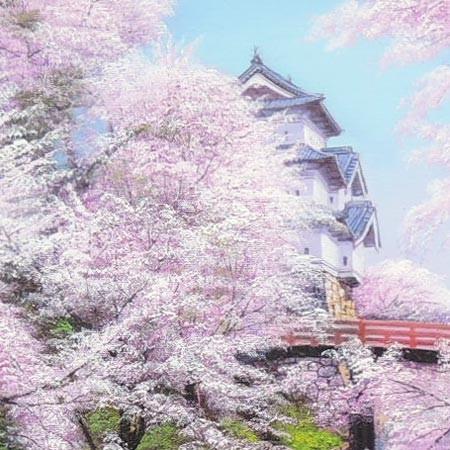 絵画 油絵 弘前城の桜 (木村由記夫) 【肉筆】【油絵】【桜絵 絵画 油絵 弘前城の桜 (木村由記夫) 【肉筆】【油絵】【桜絵