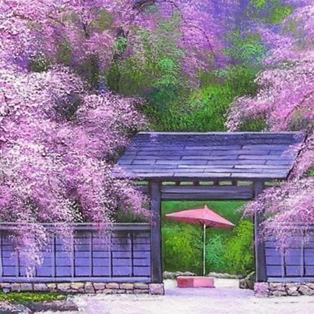 絵画 油絵 角館の桜 F20号 (木村由記夫) 【肉筆】【油絵 絵画 油絵 角館の桜 F20号 (木村由記夫) 【肉筆】【油絵