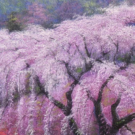 絵画 油絵 又兵衛桜 F30号 （木村由記夫） 【肉筆】【油絵】【日本の